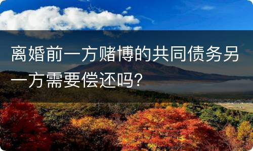 离婚前一方赌博的共同债务另一方需要偿还吗？