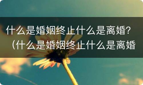 什么是婚姻终止什么是离婚？（什么是婚姻终止什么是离婚）