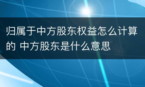 归属于中方股东权益怎么计算的 中方股东是什么意思