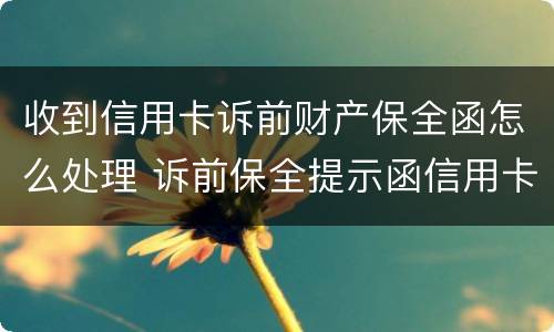 收到信用卡诉前财产保全函怎么处理 诉前保全提示函信用卡