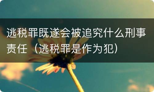 逃税罪既遂会被追究什么刑事责任（逃税罪是作为犯）