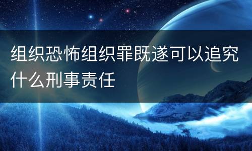 组织恐怖组织罪既遂可以追究什么刑事责任