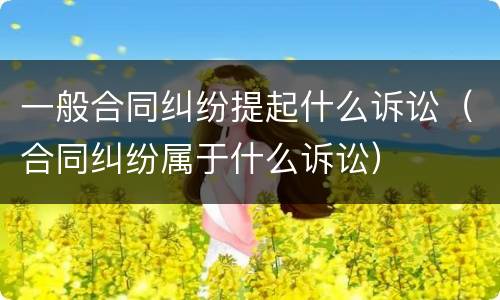 一般合同纠纷提起什么诉讼（合同纠纷属于什么诉讼）