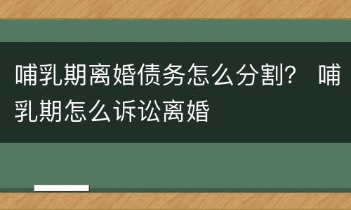 哺乳期离婚债务怎么分割？ 哺乳期怎么诉讼离婚
