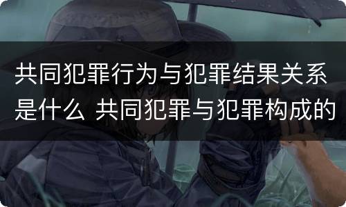 共同犯罪行为与犯罪结果关系是什么 共同犯罪与犯罪构成的关系