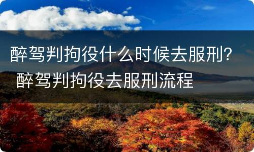 醉驾判拘役什么时候去服刑？ 醉驾判拘役去服刑流程