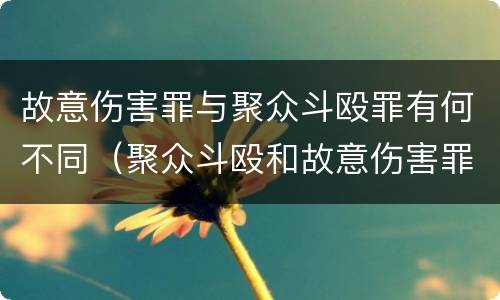故意伤害罪与聚众斗殴罪有何不同（聚众斗殴和故意伤害罪）