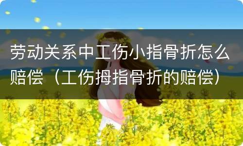 劳动关系中工伤小指骨折怎么赔偿（工伤拇指骨折的赔偿）