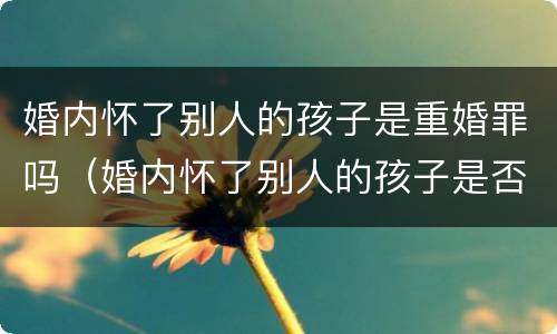 婚内怀了别人的孩子是重婚罪吗（婚内怀了别人的孩子是否是重婚罪）