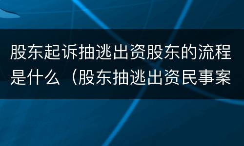 股东起诉抽逃出资股东的流程是什么（股东抽逃出资民事案由）