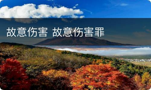 故意伤害 故意伤害罪