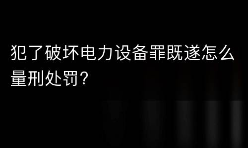 犯了破坏电力设备罪既遂怎么量刑处罚?