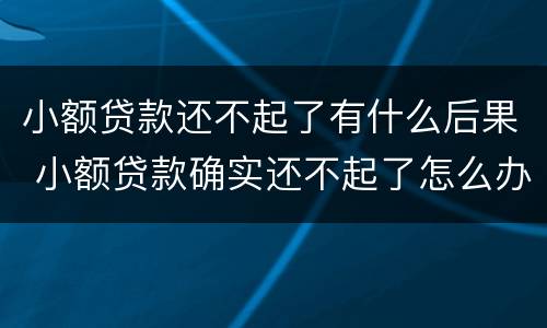 小额贷款还不起了有什么后果 小额贷款确实还不起了怎么办
