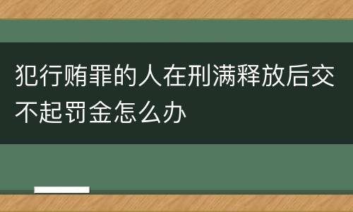 犯行贿罪的人在刑满释放后交不起罚金怎么办