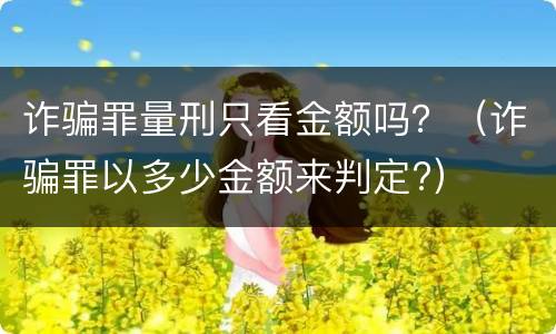 诈骗罪量刑只看金额吗？（诈骗罪以多少金额来判定?）