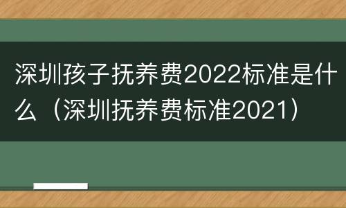 深圳孩子抚养费2022标准是什么（深圳抚养费标准2021）