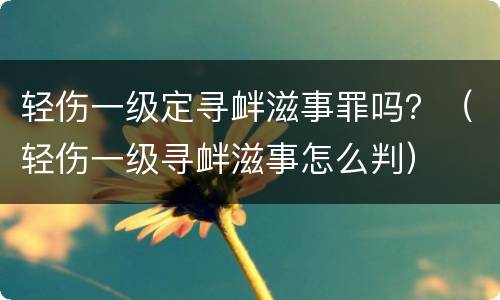 轻伤一级定寻衅滋事罪吗？（轻伤一级寻衅滋事怎么判）