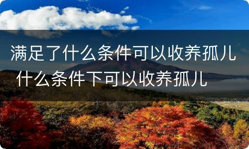 满足了什么条件可以收养孤儿 什么条件下可以收养孤儿