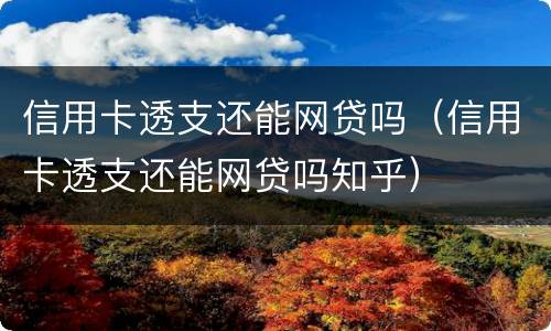 信用卡透支还能网贷吗（信用卡透支还能网贷吗知乎）