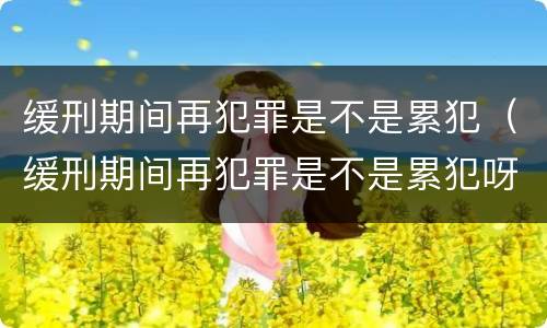 缓刑期间再犯罪是不是累犯（缓刑期间再犯罪是不是累犯呀）