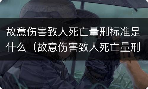故意伤害致人死亡量刑标准是什么（故意伤害致人死亡量刑标准是什么样的）