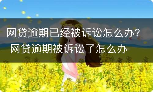网贷逾期已经被诉讼怎么办？ 网贷逾期被诉讼了怎么办