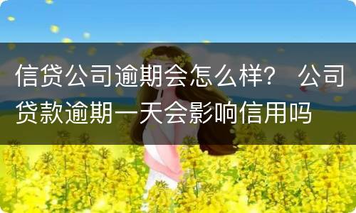 信贷公司逾期会怎么样？ 公司贷款逾期一天会影响信用吗