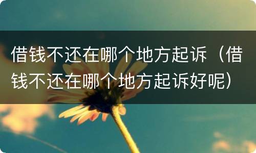 借钱不还在哪个地方起诉（借钱不还在哪个地方起诉好呢）
