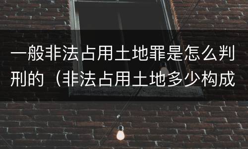 一般非法占用土地罪是怎么判刑的（非法占用土地多少构成犯罪）