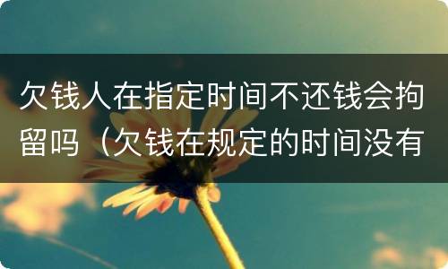 欠钱人在指定时间不还钱会拘留吗（欠钱在规定的时间没有还清怎么办）