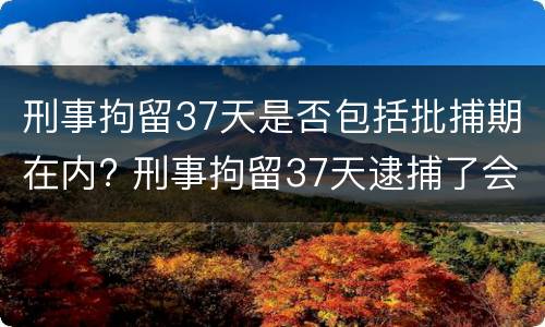刑事拘留37天是否包括批捕期在内? 刑事拘留37天逮捕了会坐牢吗