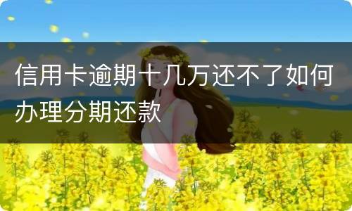 信用卡逾期十几万还不了如何办理分期还款