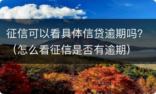 征信可以看具体信贷逾期吗？（怎么看征信是否有逾期）