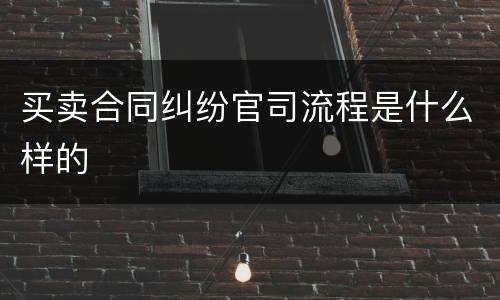 买卖合同纠纷官司流程是什么样的