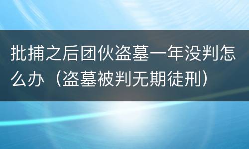 批捕之后团伙盗墓一年没判怎么办（盗墓被判无期徒刑）