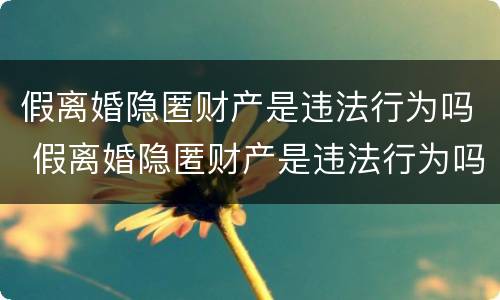 假离婚隐匿财产是违法行为吗 假离婚隐匿财产是违法行为吗