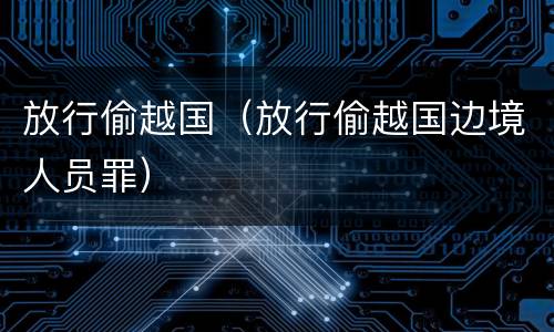 放行偷越国（放行偷越国边境人员罪）