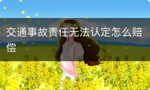 交通事故责任无法认定怎么赔偿