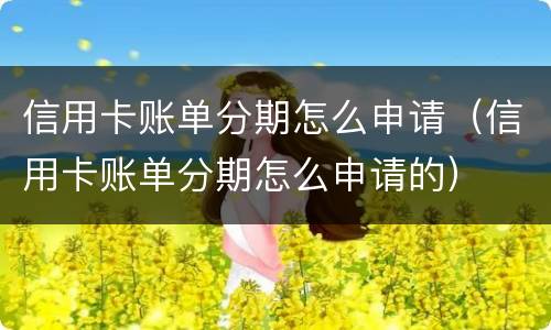 信用卡账单分期怎么申请（信用卡账单分期怎么申请的）
