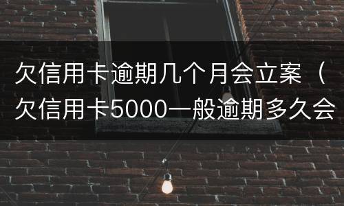 欠信用卡逾期几个月会立案（欠信用卡5000一般逾期多久会立案）