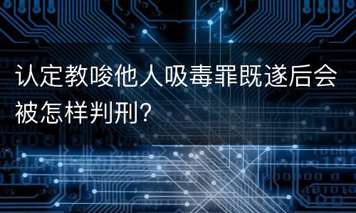 认定教唆他人吸毒罪既遂后会被怎样判刑?