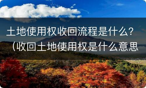 土地使用权收回流程是什么？（收回土地使用权是什么意思）