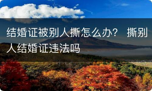 结婚证被别人撕怎么办？ 撕别人结婚证违法吗