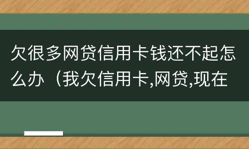 欠很多网贷信用卡钱还不起怎么办（我欠信用卡,网贷,现在还不上,该怎么办）