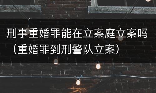 刑事重婚罪能在立案庭立案吗（重婚罪到刑警队立案）