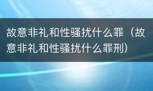 故意非礼和性骚扰什么罪（故意非礼和性骚扰什么罪刑）
