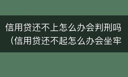 信用贷还不上怎么办会判刑吗（信用贷还不起怎么办会坐牢吗）