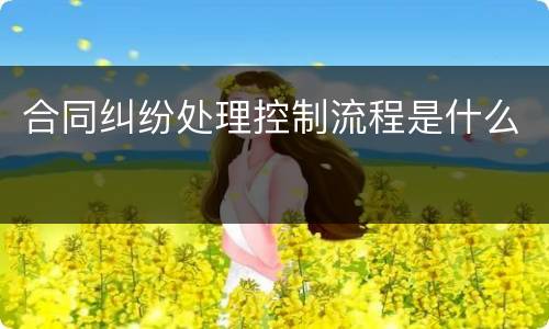 合同纠纷处理控制流程是什么