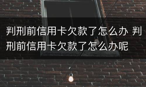 判刑前信用卡欠款了怎么办 判刑前信用卡欠款了怎么办呢