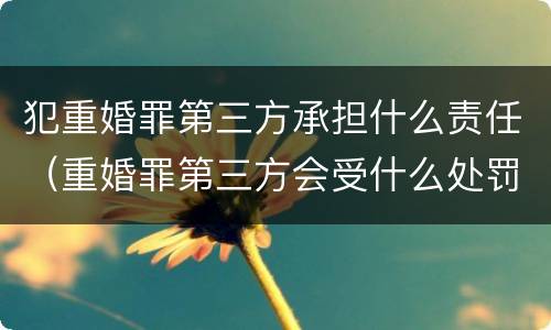 犯重婚罪第三方承担什么责任（重婚罪第三方会受什么处罚）
